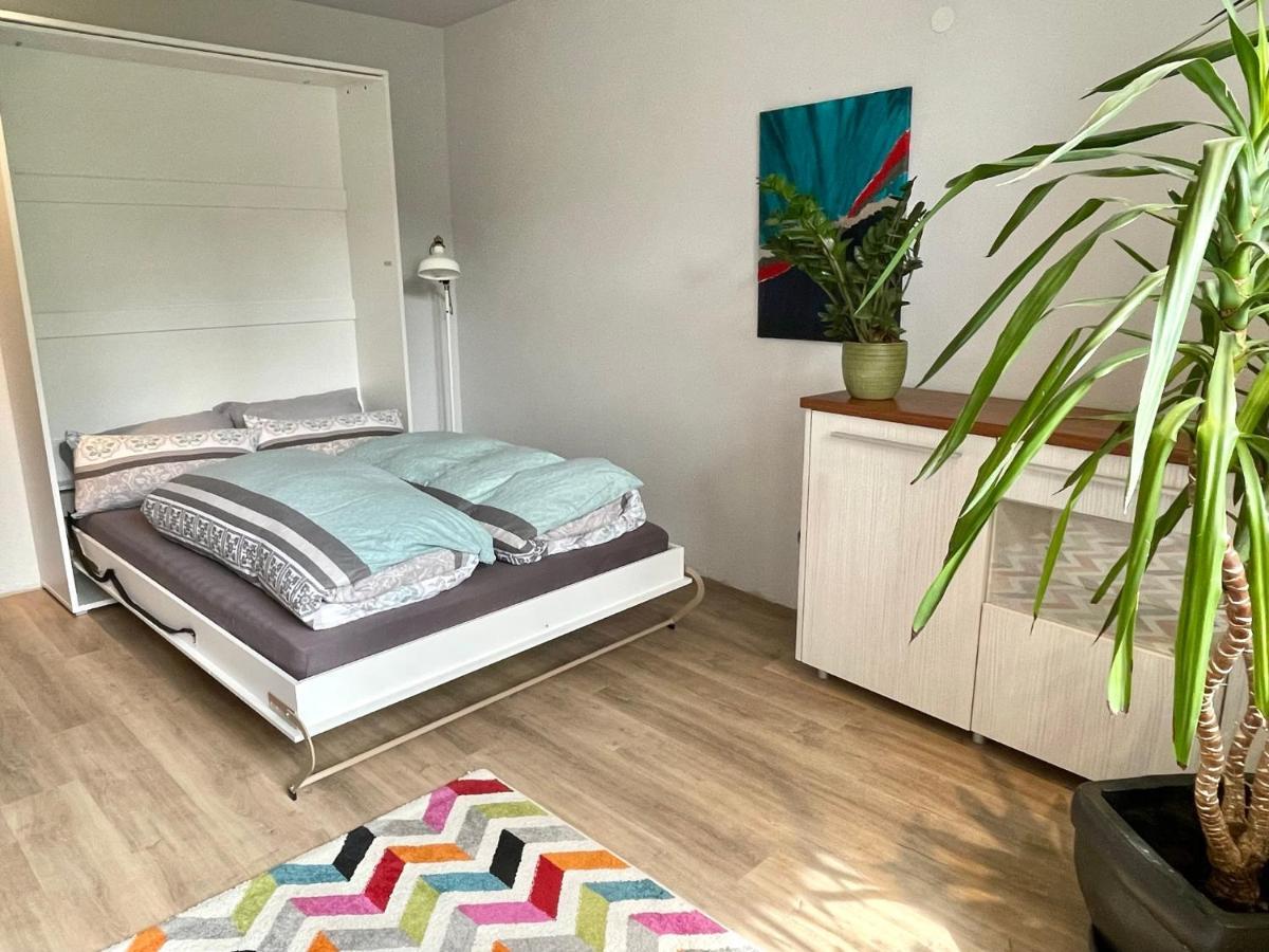 Apartamento Am Weinberg - stilvoll, ruhig, zum wohlfühlen Pfaffenweiler Exterior foto